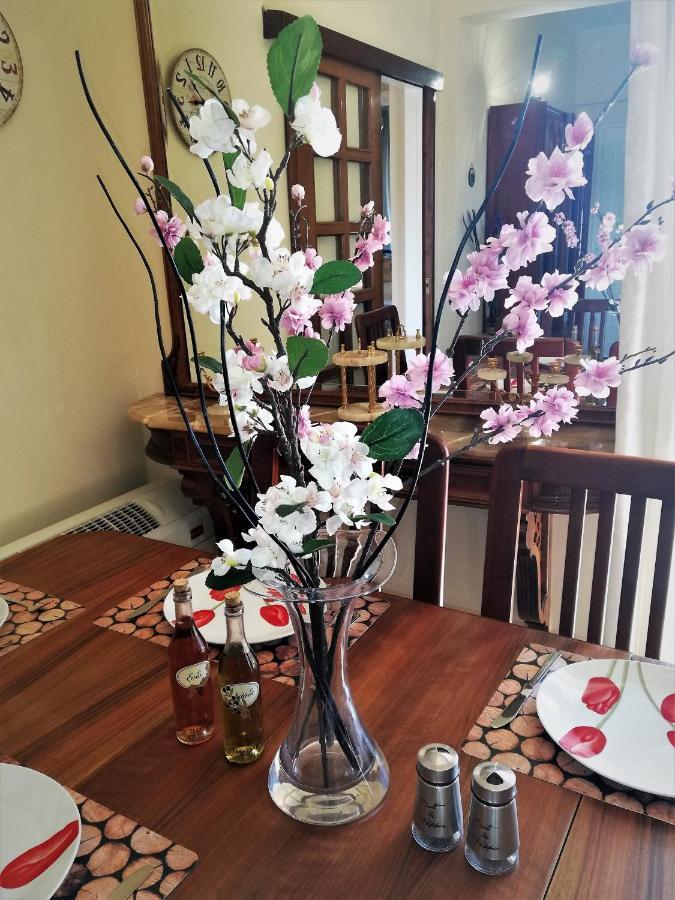 Sapfo'S House Apartment Agios Ioannis  ภายนอก รูปภาพ